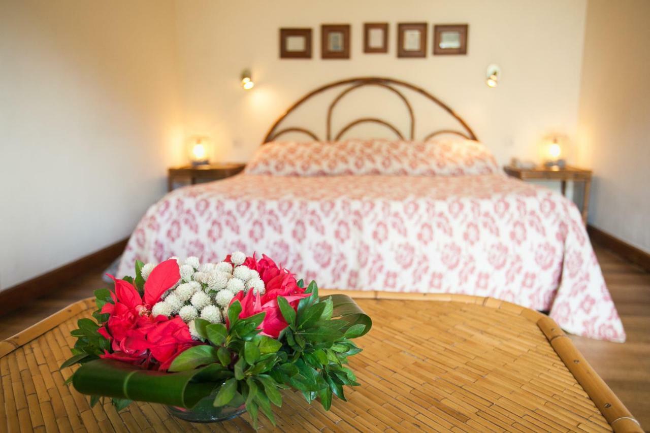 Tsara Guest House Фианаранцоа Екстериор снимка